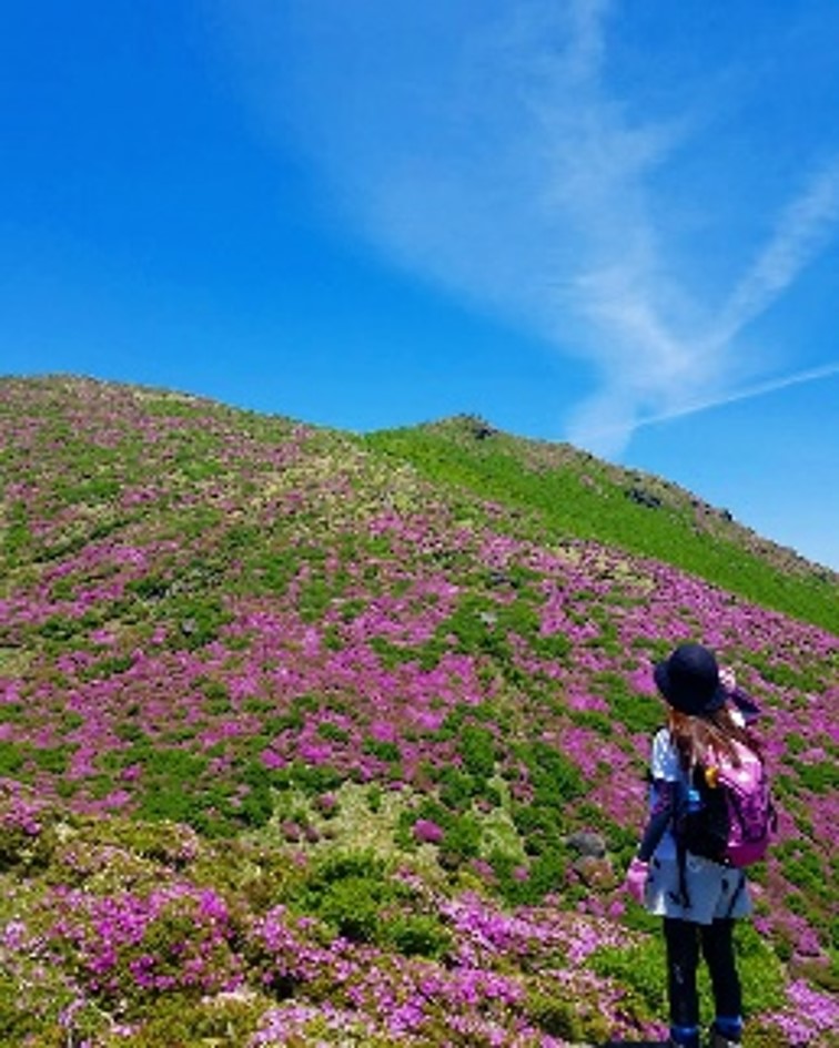 登山のイメージ画像