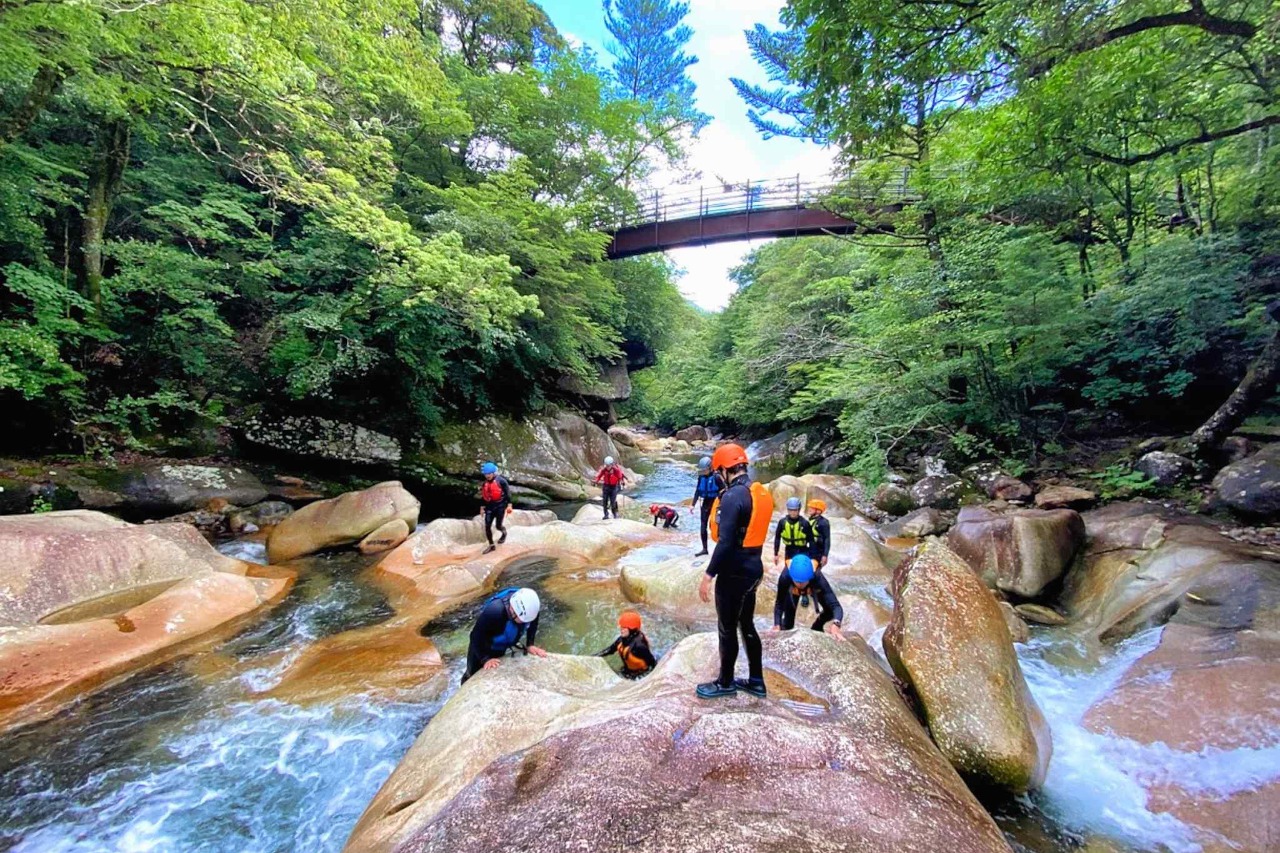 山深い「藤河内渓谷」で、夏の大自然を体験するツアー