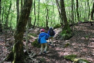 山登りをする人々の写真