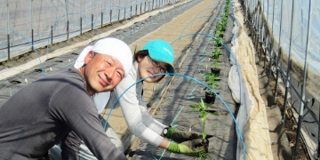 画像：農林水産業への就業